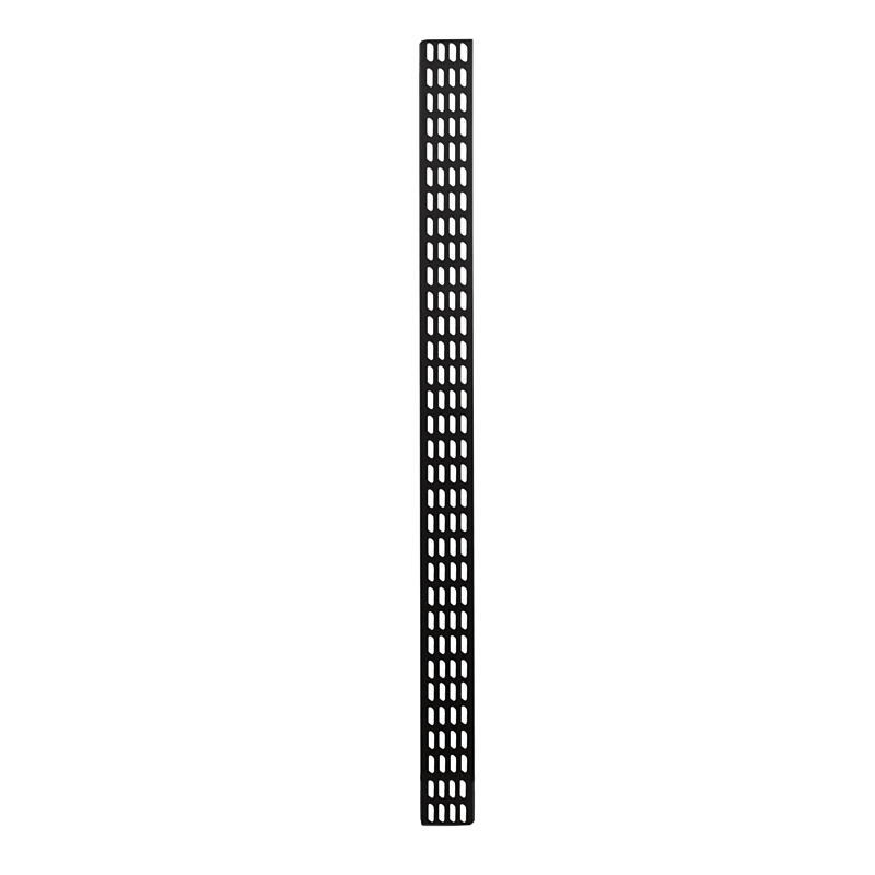 32U verticale kabelgoot - 10 cm breed